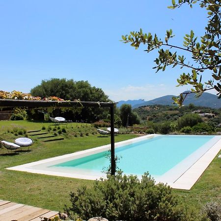 Bed and Breakfast Albero Capovolto Golfo Aranci Exterior foto