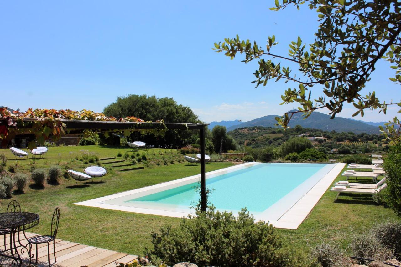 Bed and Breakfast Albero Capovolto Golfo Aranci Exterior foto