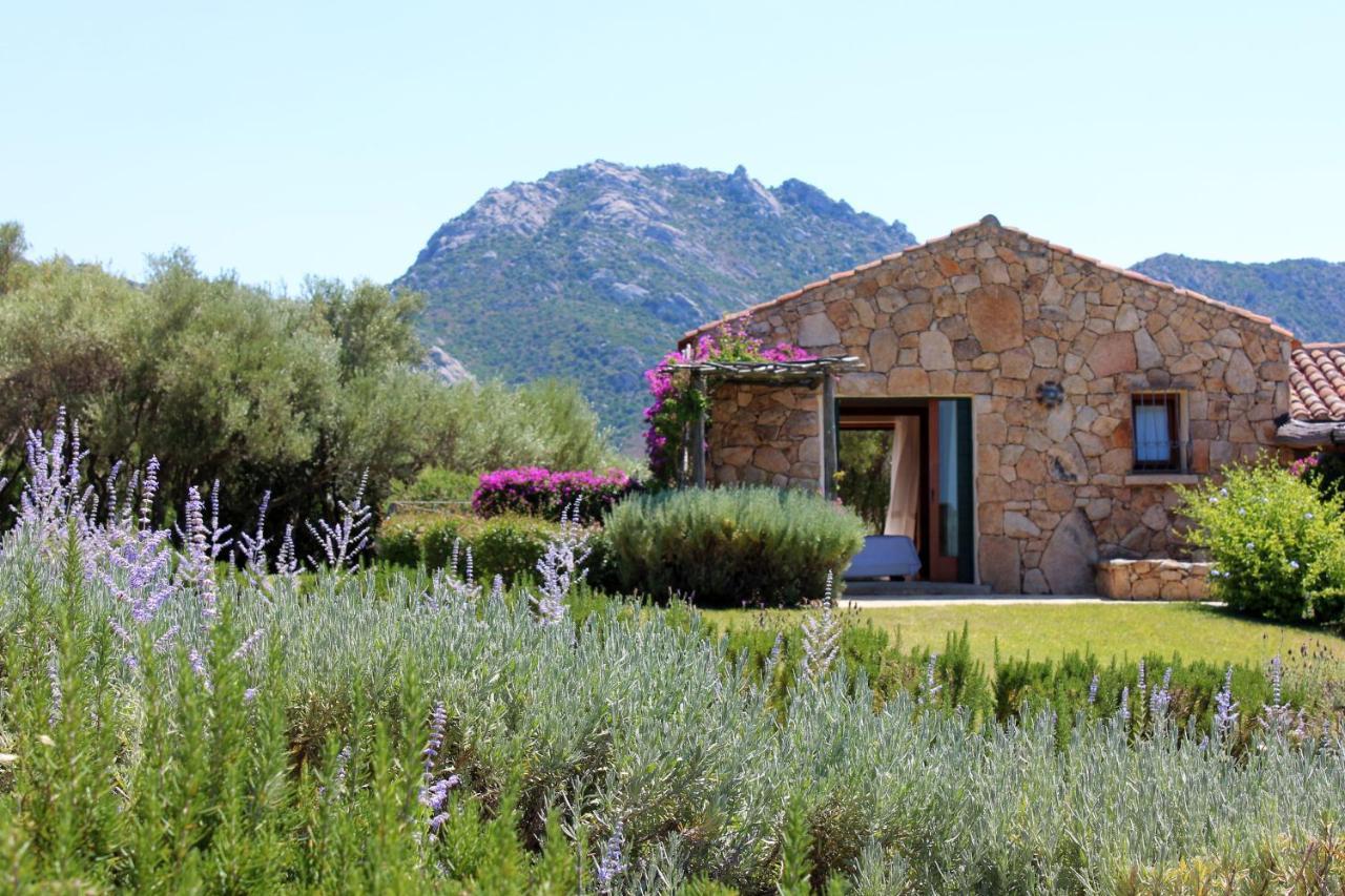 Bed and Breakfast Albero Capovolto Golfo Aranci Exterior foto